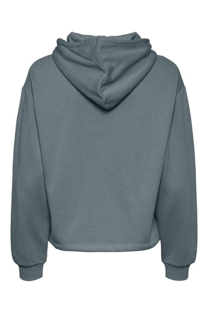 PCCHILLI LS HOODIE NOOS BC 17113437 Trooper
